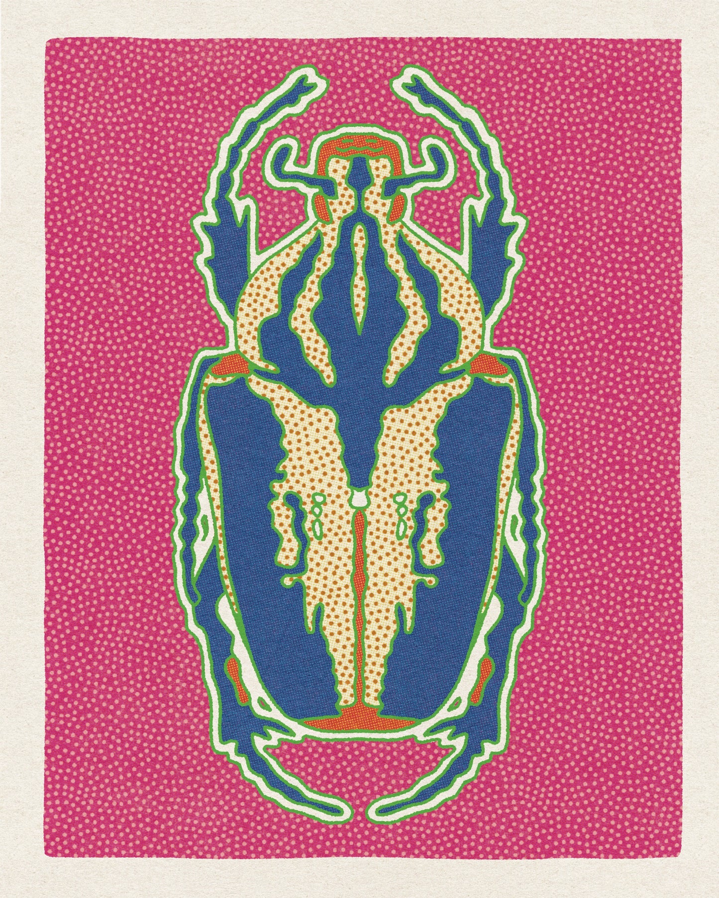 Desert Beetle Postcard Set