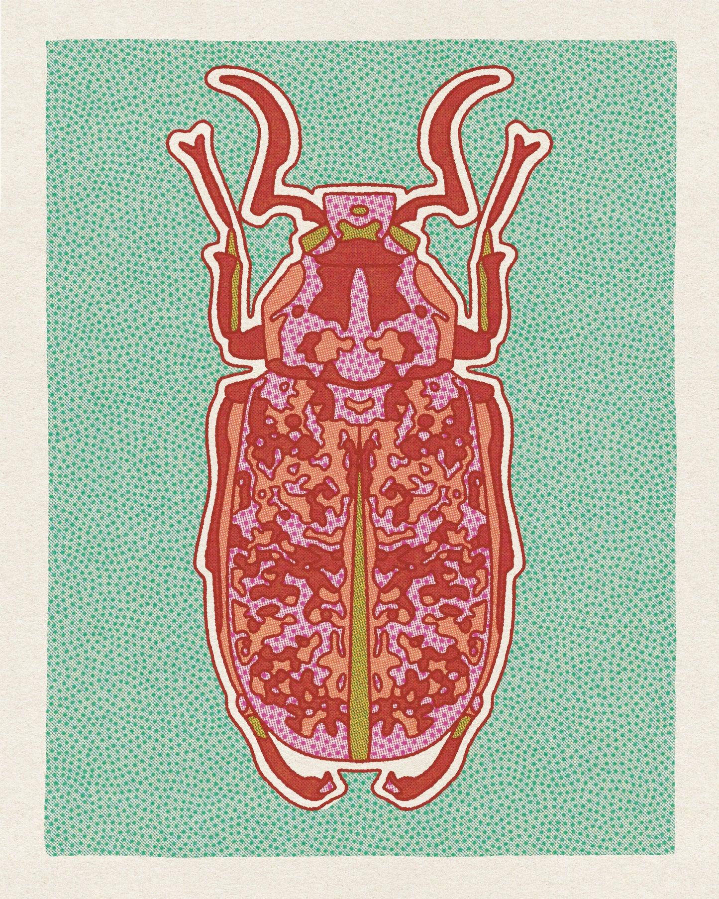 Desert Beetle Postcard Set