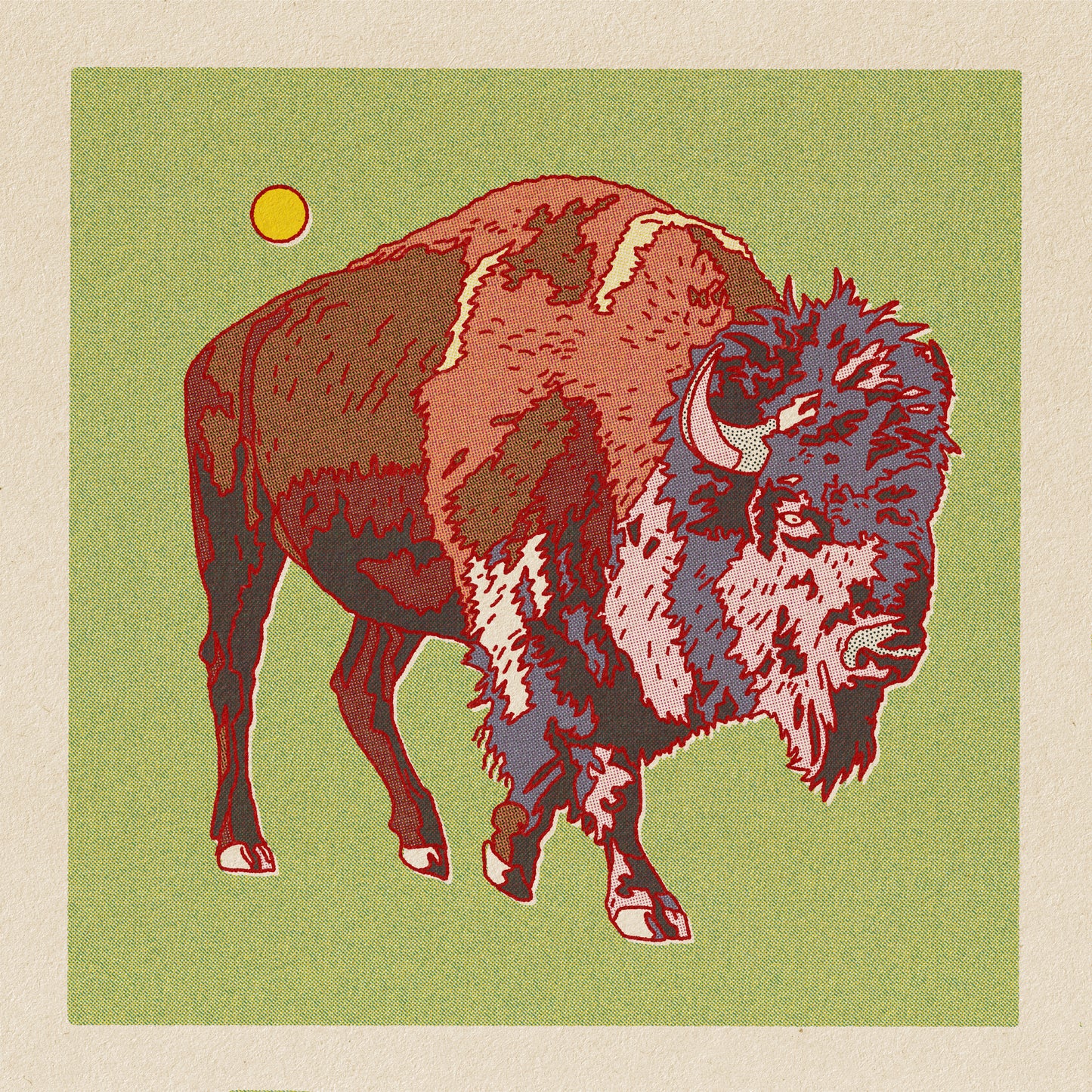 Bison Buffalo Print