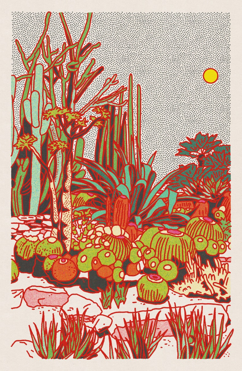 Cactus Planet #5 24"x36" Print