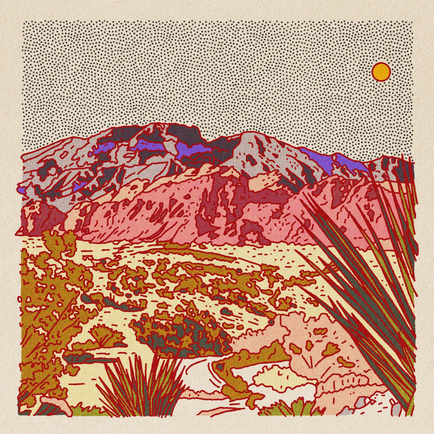 Evening Desert Postcard Pack