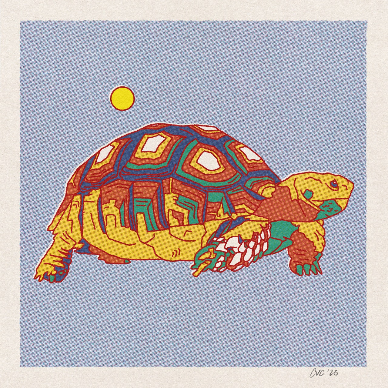 Desert Turtle Print