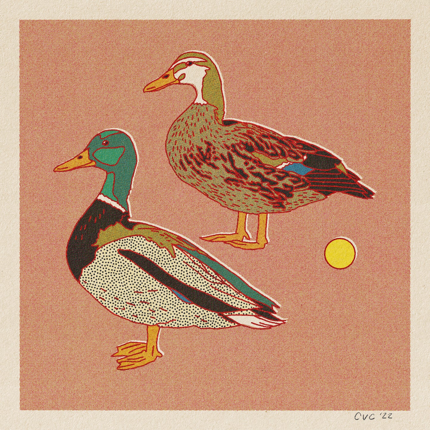 Ducks Print