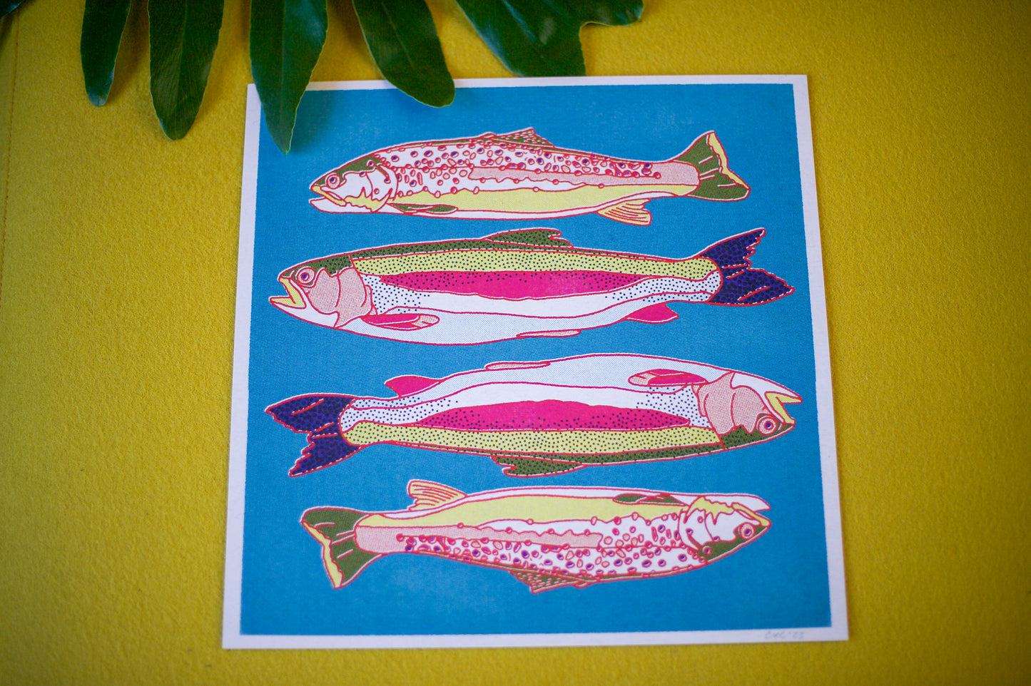 Trout Fish Print
