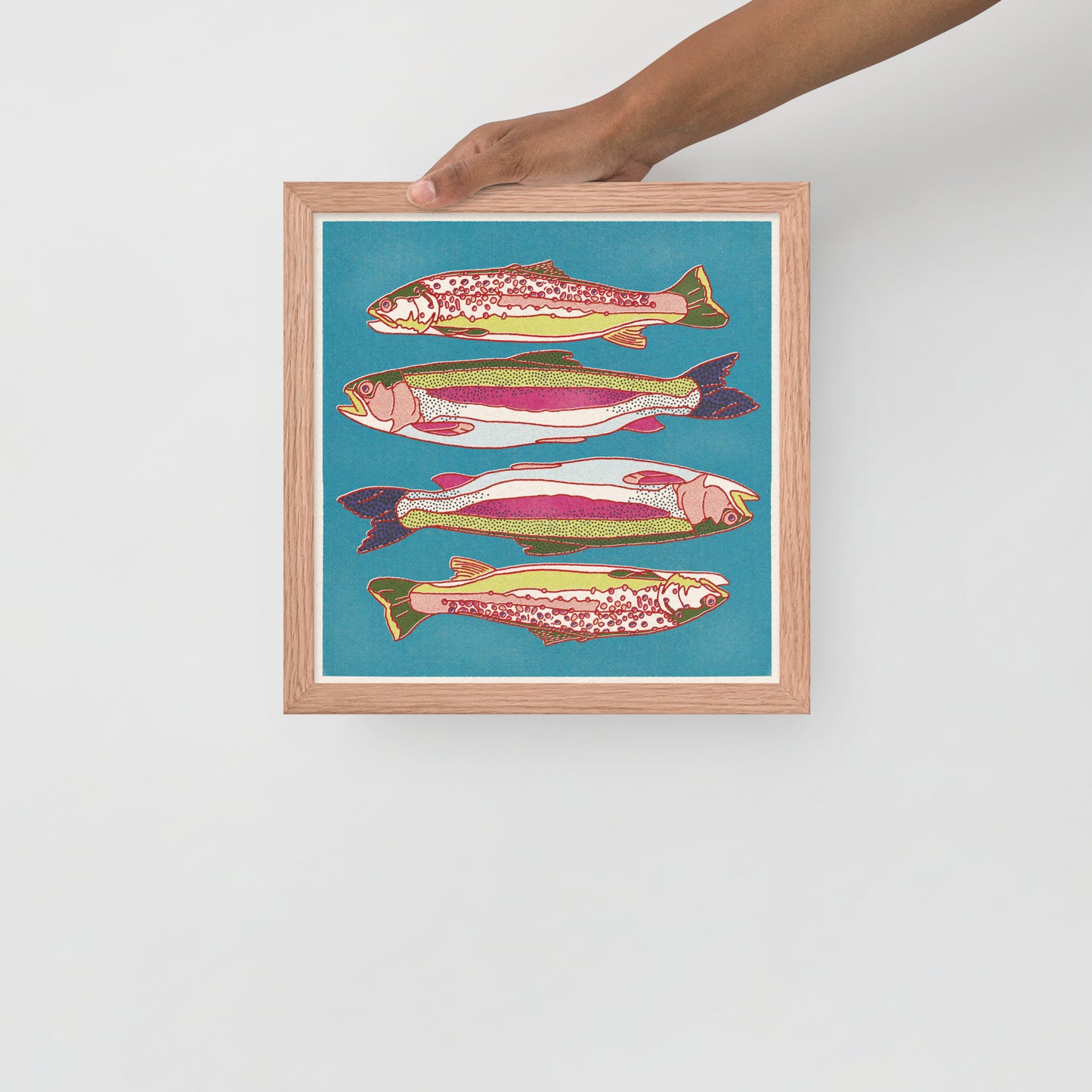 Trout Fish Framed Print