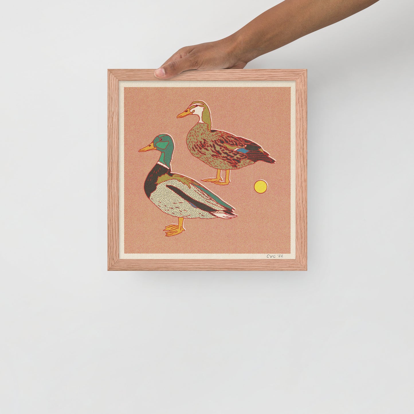 Ducks Framed Print