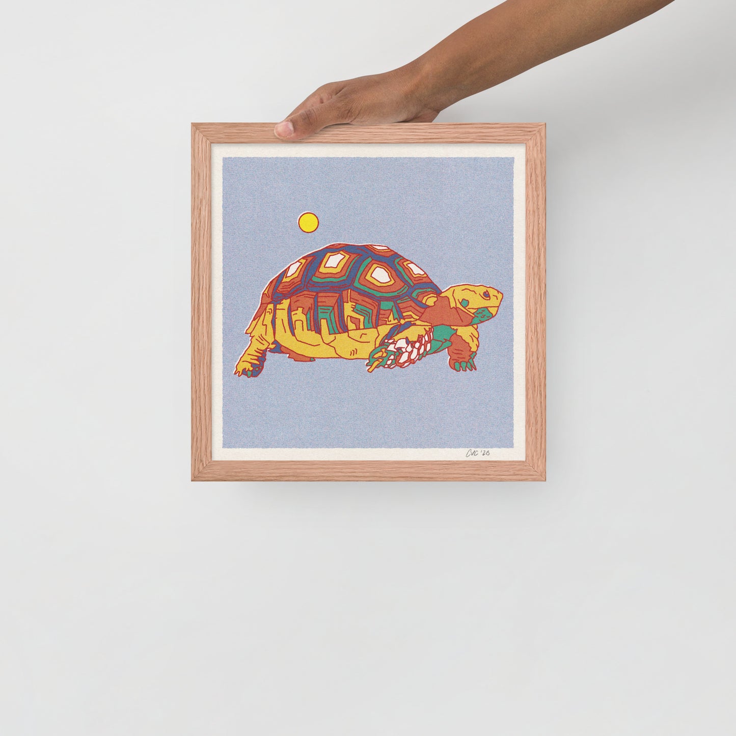 Desert Turtle Framed Print