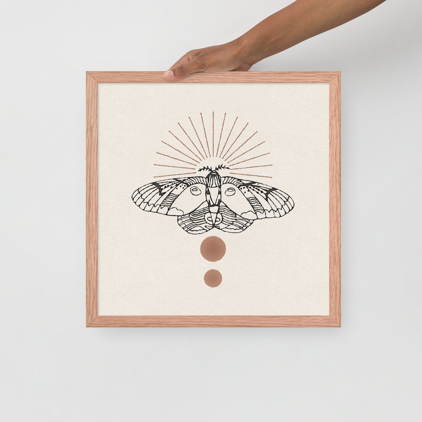 Raccoon Moth Framed Print
