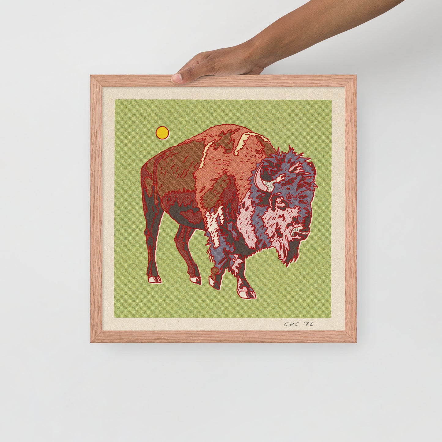 Bison Buffalo Framed Print