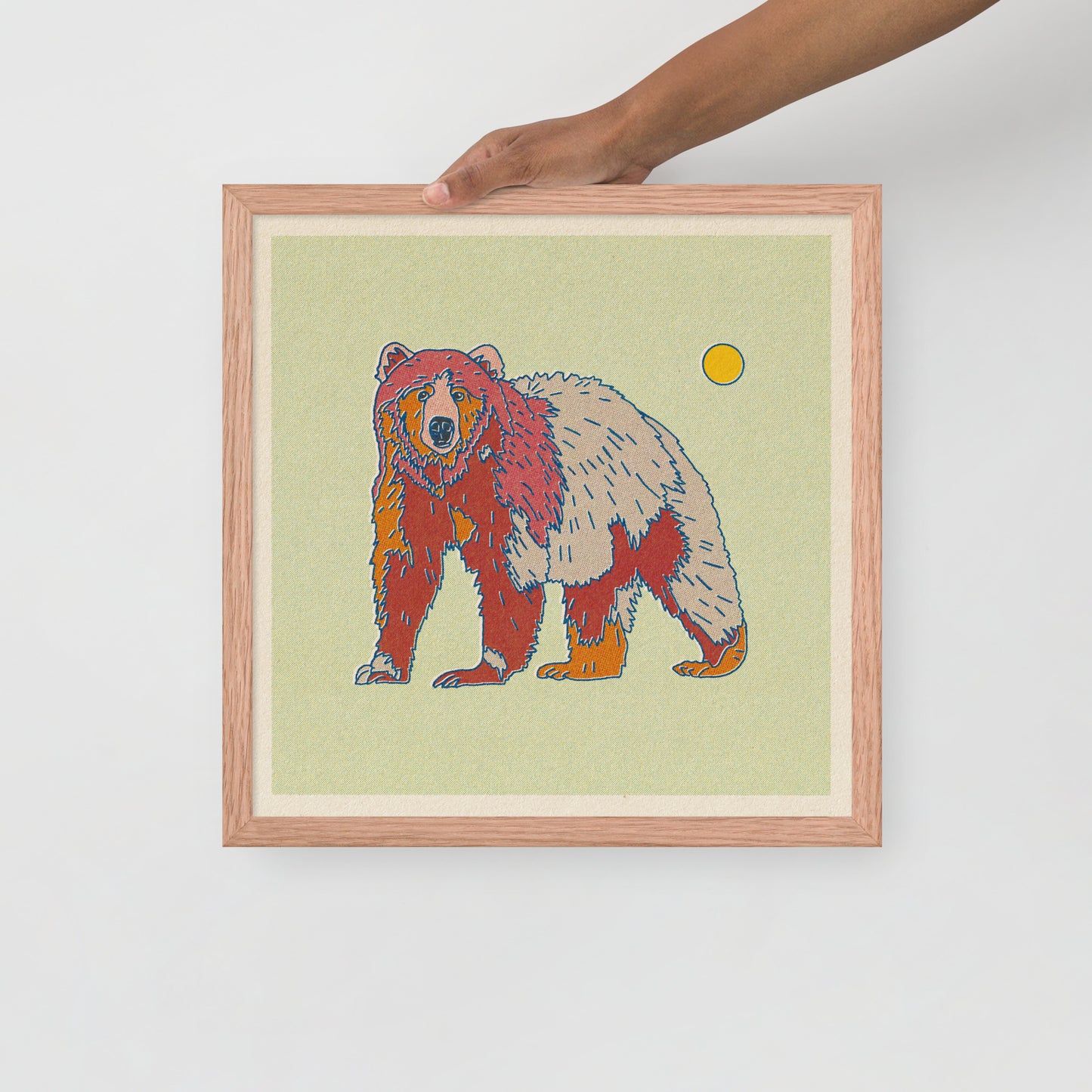 Bear Framed Print