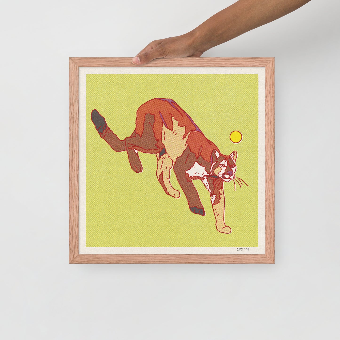 Mountain Lion Framed Print