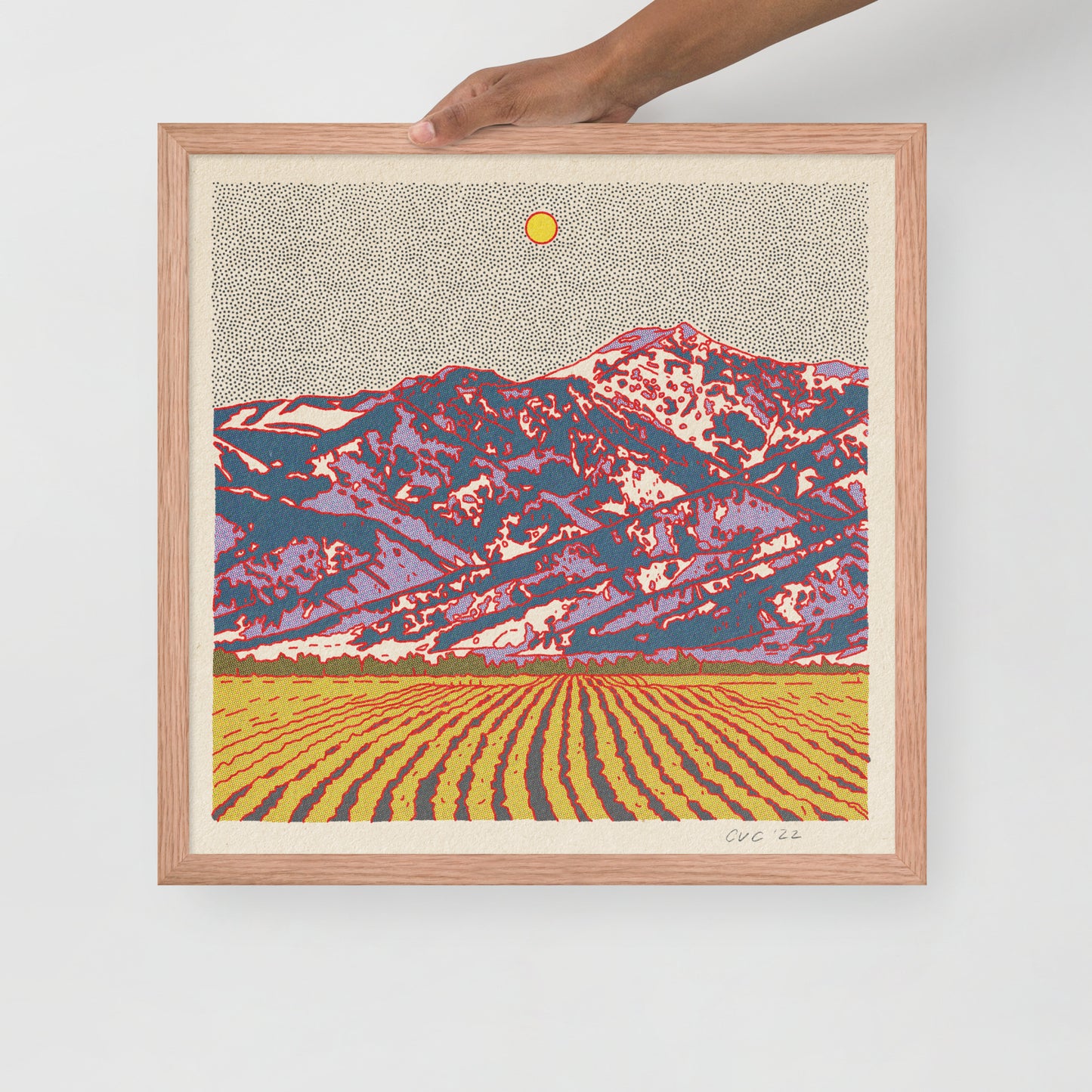 Desert Mountain #27 Framed Print