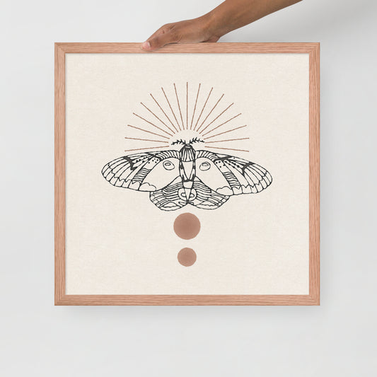 Raccoon Moth Framed Print