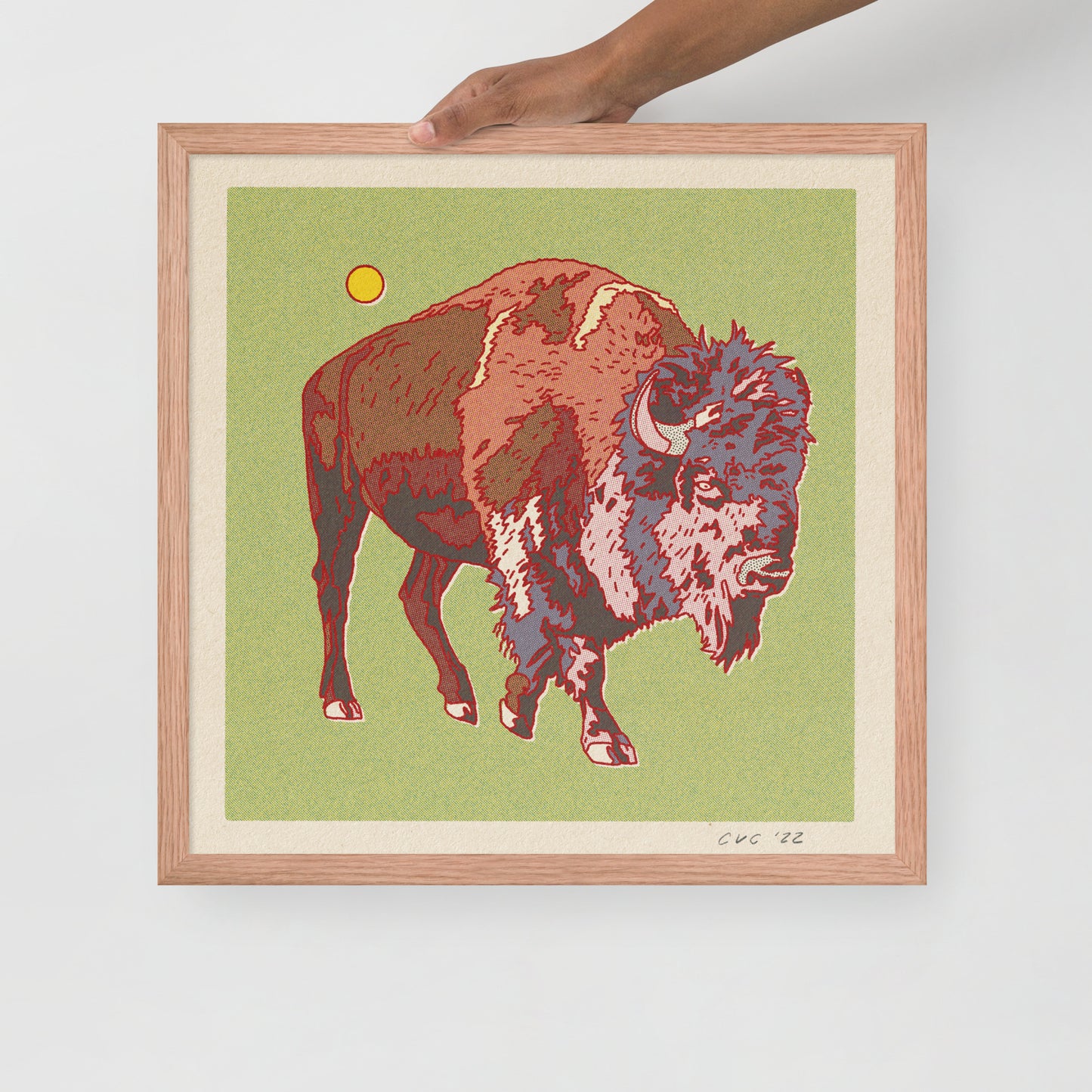Bison Buffalo Framed Print