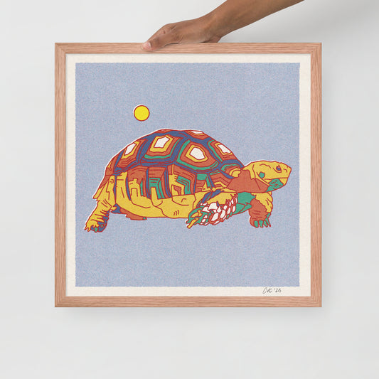 Desert Turtle Framed Print