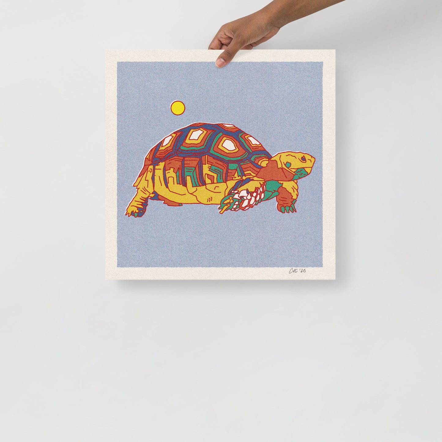 Desert Turtle Print